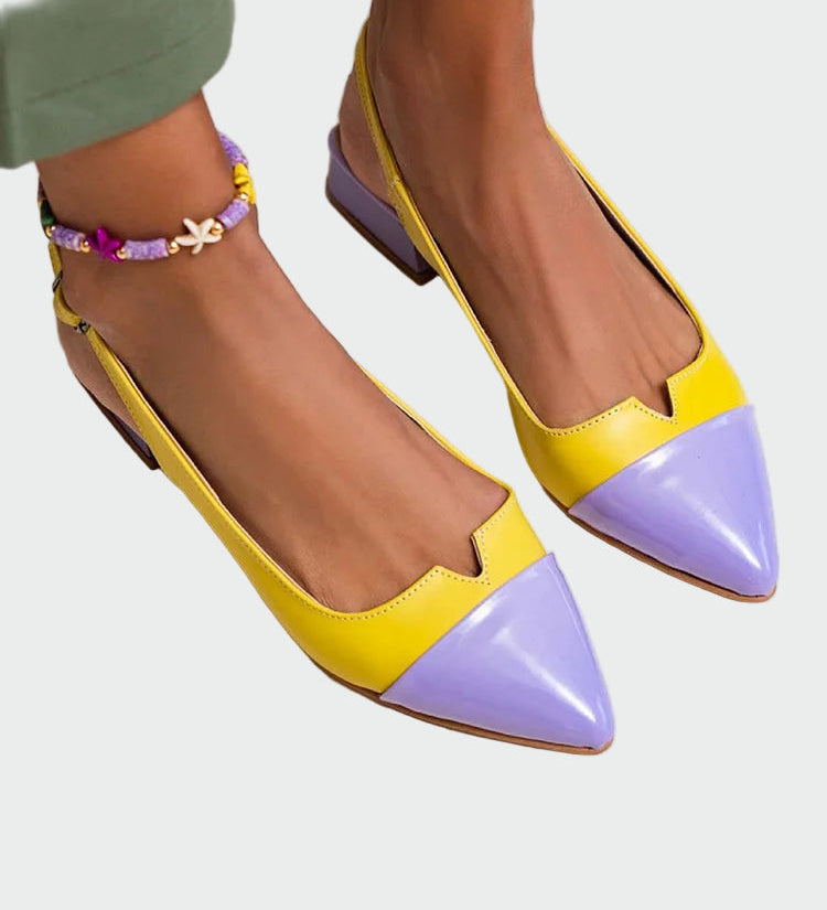 Alara | Pointed Toe Ballerinas with Two-Tone Details