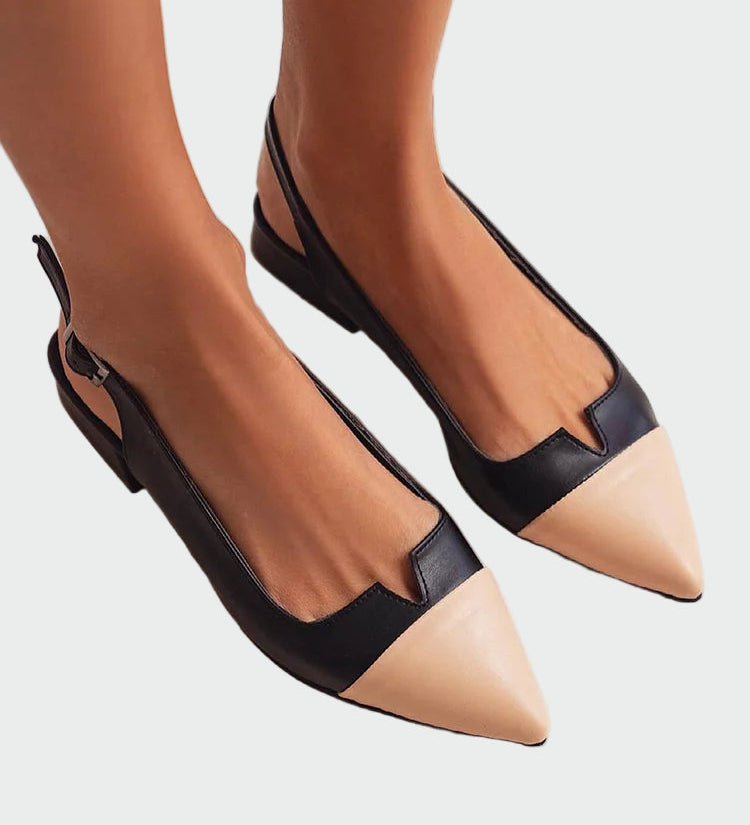 Alara | Pointed Toe Ballerinas with Two-Tone Details
